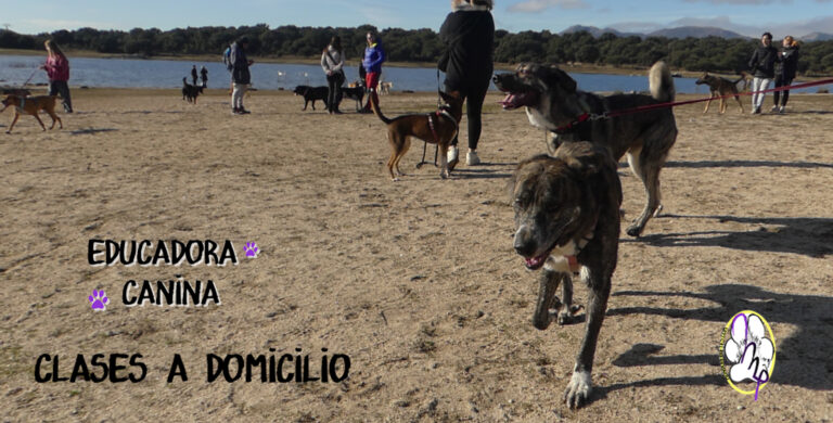 Encuentros de socialización acompañada