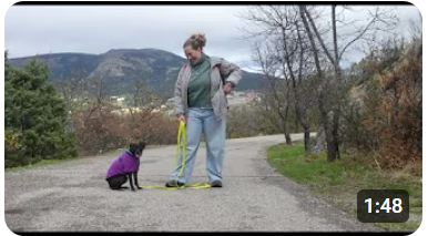 Sara con un perro en la sierra de Madrid